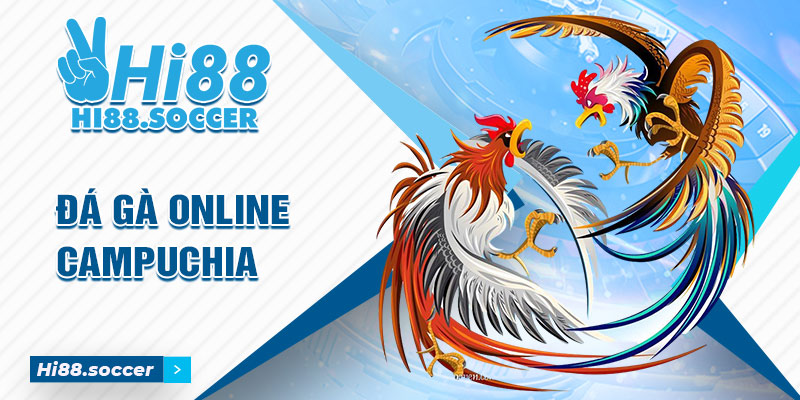 Đá Gà Online Campuchia - Cách Tham Gia Cá Độ Đá Gà Campuchia 1 Đá gà online campuchia